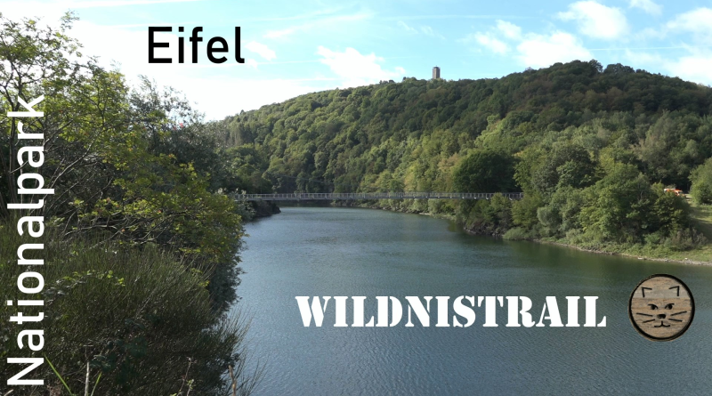 Wildnistrail 1. Etappe Höfen – Einruhr